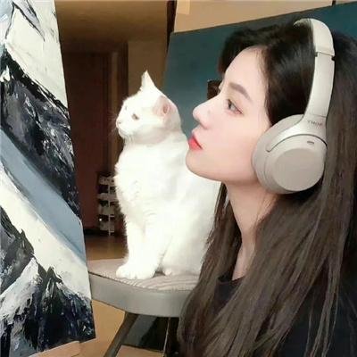 观鸟者
